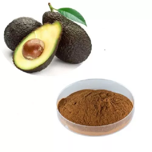 100 % Natural Sun Dried Avocado Seed Powder High Quality FREE SHIPPING