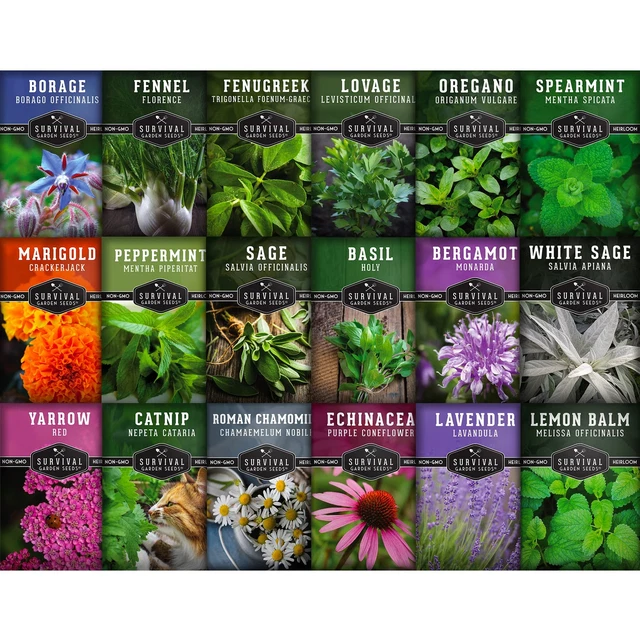 18 Medicinal Herb Seed Packets to Plant & Grow - Assortment of Beneficial Plantn