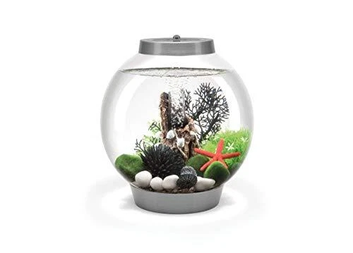 Classic 15 Acrylic 4-Gallon Aquarium with Multi-Color Remote-Controlled LED L...