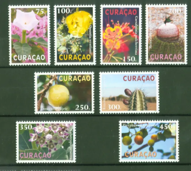 Curacao 2012 - Pflanzen Blumen Blüten Früchte Kakteen Kaktus Opuntien Nr. 111-18