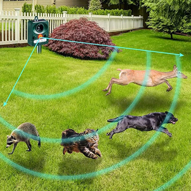 Picchetti - - sistemi di allontanamento animali molesti