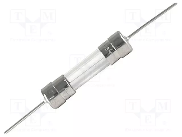 Sécurité : Schmelz Fusible 250VAC Cylindrique, 1A FST 0034.3117.PT Assurance 5