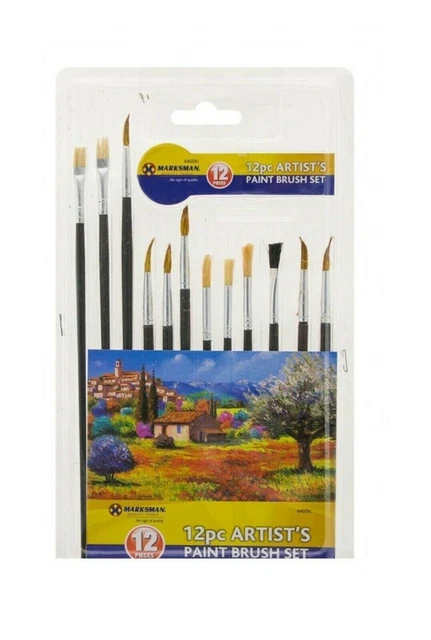 Ensemble de brosses de peinture d'artiste brosse professionnelle bois 12 pièces huile acrylique aquarelle