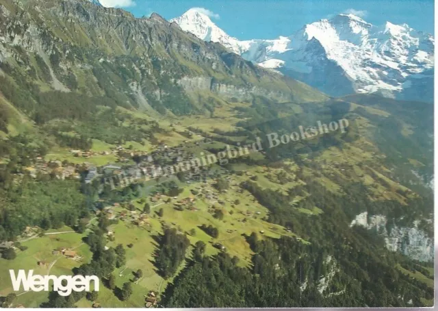 Wengen Switzerland Postcard with Stamp 239
