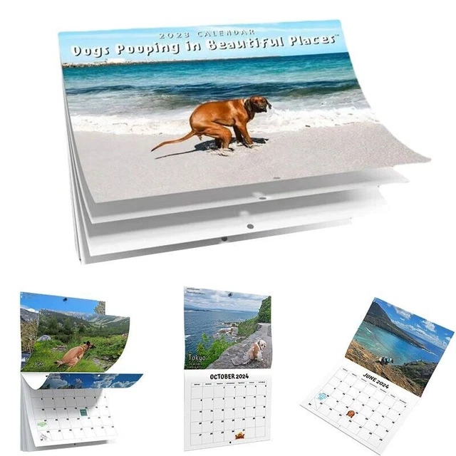 2024 CALENDAR FUNNY Dogs Pooping in Beautiful Places Wall Calend