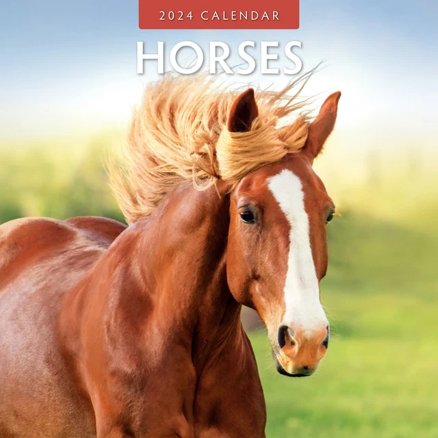 HORSES 2024 SQUARE Wall Calendar £5.99 PicClick UK