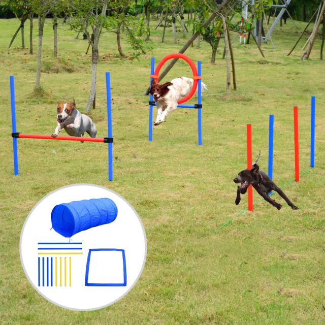 Pawhut Hunde Agility Slalom Übung Hundesport Training Reifen Hürde Set 2 Modelle