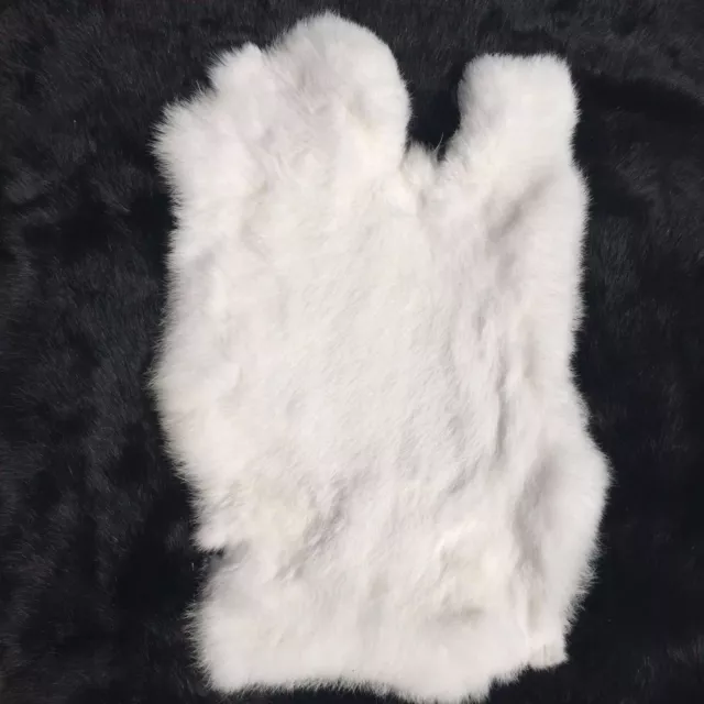 Soft White WILD MEADOW Rabbit Skin Fur Pelts Hide for Animal Training Garments Soft White WILD MEADOW Rabbit Skin Fur Pelts Hide for Animal Training Garments