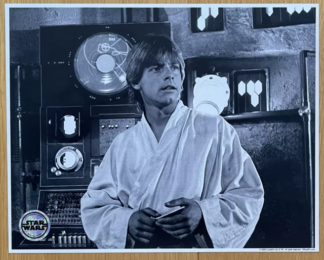 Star Wars Mark Hamill Luke Skywalker A New Hope Official Pix 10 X 8 Photo