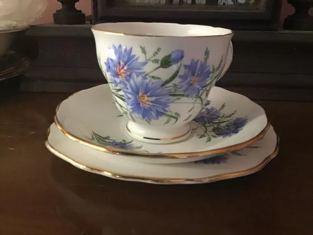 Royal Vale Bone China England - Beautiful "Cornflower" Trio VGC