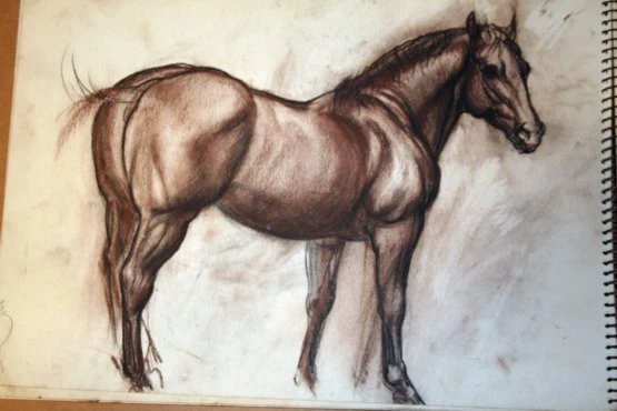 #2 Maureen Love Original Sketches 4 Scratching Chickens/Horse #2 Maureen Love Original Sketches 4 Scratching Chickens/Horse