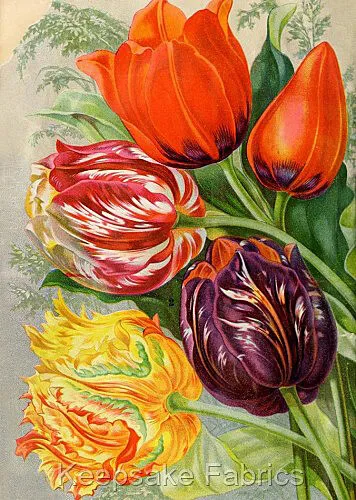 Tulips Flowers Seed Packet Multi Szs FrEE ShiPPinG WoRld WiDE (22C