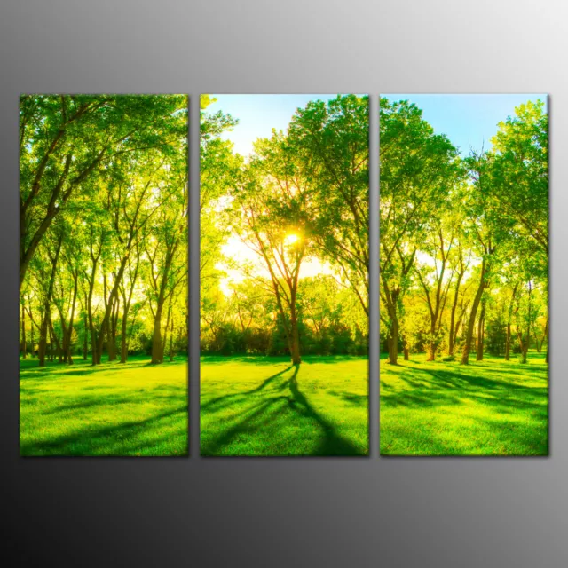 Modern Canvas Wall Art Prints Green Trees Painting Picture Home Decor-Framed