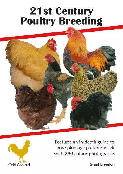 21st Century Poultry Breeding (Grant Brereton) NEW BOOK GCBJ