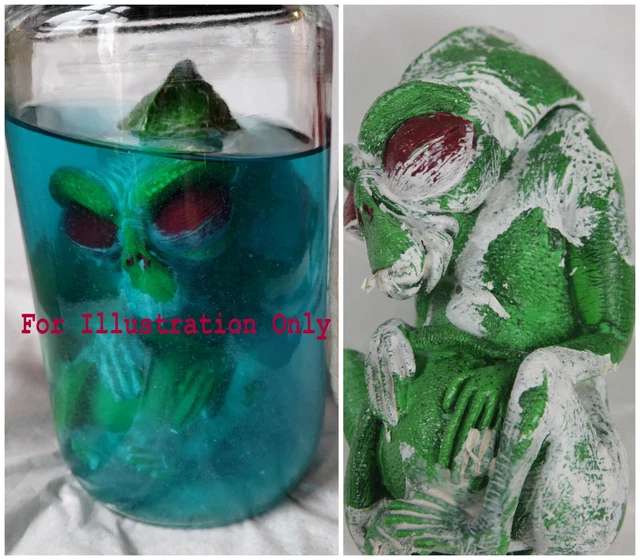 Scarce NU - Specimen Alien Reptile Embryo with Jar