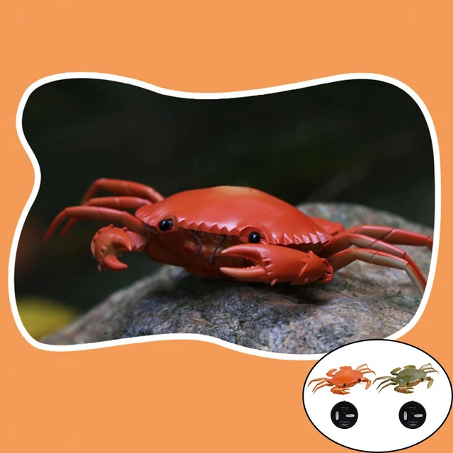 FYDUN Jouet de crabe Drôle haute Simulation télécommande infrarouge