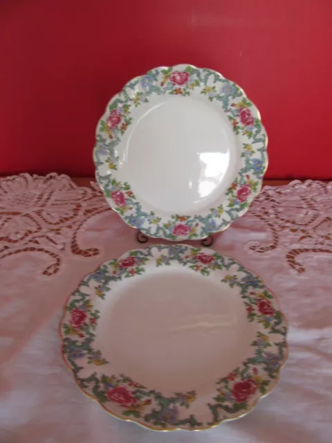 Lovely Vintage  Booths  Floradora dinner Plates  x 2 dia 10.5"