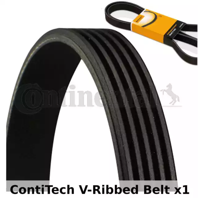 ContiTech V-Ribbed Belt - 5PK880 , 5 Ribs - Fan Belt Alternator, Drive Belt