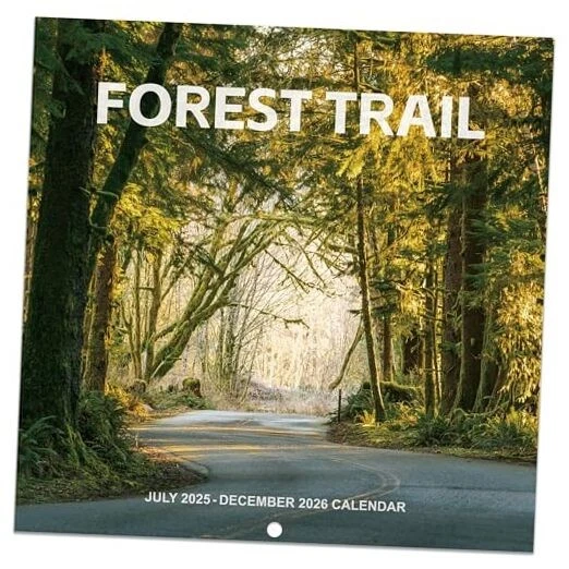 20252026 CALENDAR Monthly Square Wall Calendar 20252026, 18 months