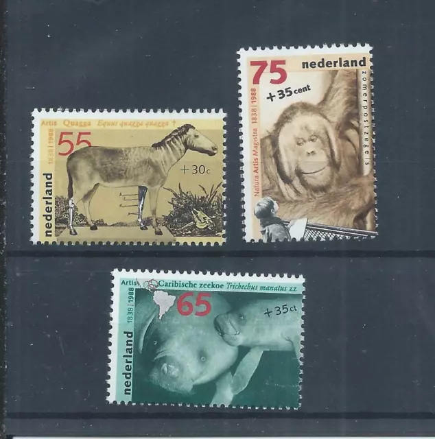 Netherlands stamps.  1988 Cultural, Health & Social Relief Funds MNH   (AB922)