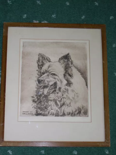 Rare Antique Keeshond Dog Signed Ltd Ed Drypoint Etching 1938 By R.j. Harris