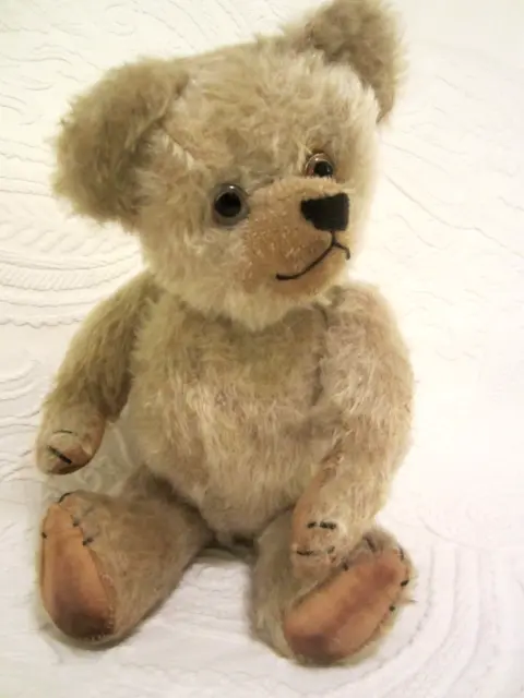 Beautiful Antique Schucco/Shuco  Teddy Bear, 15" 38 cms Mohair Rare Bear