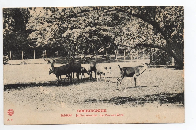 INDOCHINE COCHINCHINE SAIGON le parc aux cerfs du jardin botanique