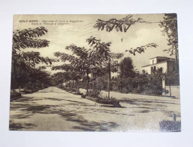 Cartolina Riolo Terme - Viale di Mimose e Oleandri 1952.