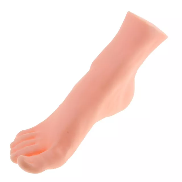 Quality Silicone Shoe Display 9 4 Inch Male Right Foot Model in Skin Tone