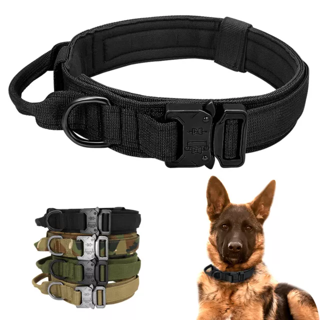 Collier de dressage pour chien Tactique Militaire Collier en nylon Avec poignée