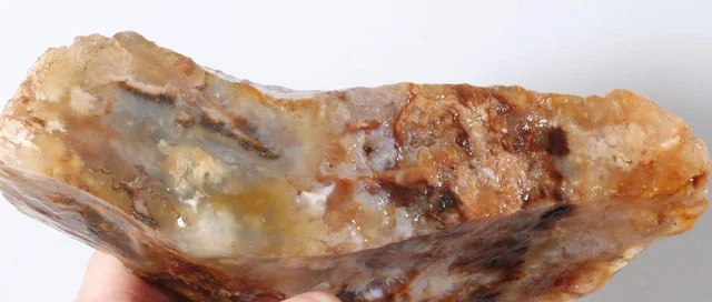 Oregon Graveyard Plume Agate 1 lb 11 oz. lapidary rough