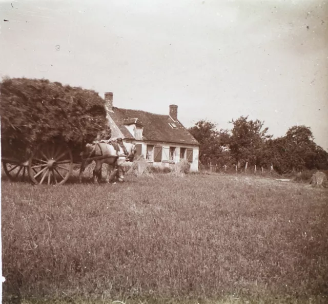 FRANCE Agricole Hay Cart c1930 Photo Stereo Glass Plate Vintage V34L7n