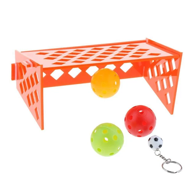 Ball Vogel Papagei Nymphensittich Puzzle Training Entwicklung Fußballplatz