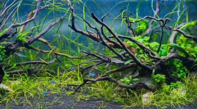 Natural Tree Trunk Aquarium Driftwood Fish Tank Aquarium Plant Deco Landscape