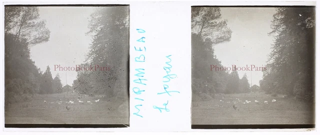 FRANCE Mirabeau c1930 Photo Stereo Glass Plate Vintage V17T13n1 2