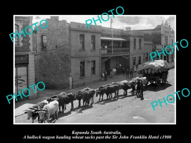 OLD LARGE HISTORIC PHOTO OF KAPUNDA SA BULLOCK WAGON AT THE HOTEL c1900