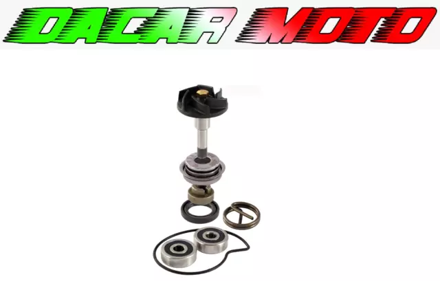 Turbine Overhaul Kit Water Pump Piaggio 250 X9 Evolution 2004 RMS 100110210