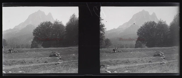 France Paysage Montagne Photo Stereo NEGATIF Plaque de verre VR11n  