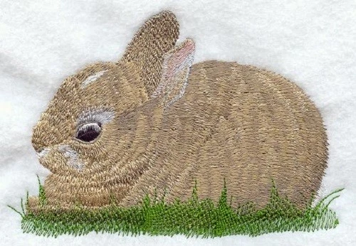 Embroidered Long-Sleeved T-Shirt - Cottontail Rabbit M1739 Sizes S - XXL