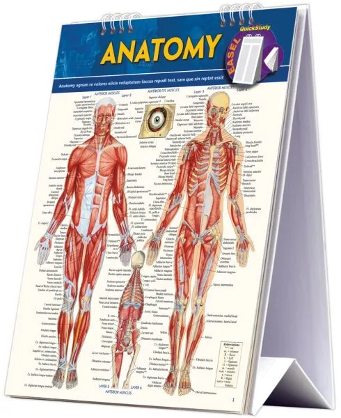 Anatomy, Paperback by Perez, Vincent, Like New Used, Free P&P in the UK