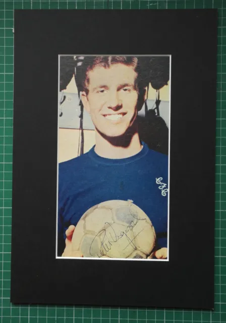 PETER OSGOOD CHELSEA & ENGLAND SIGNED MOUNTED PICTURE 13 x 9 AUTOGRAPH