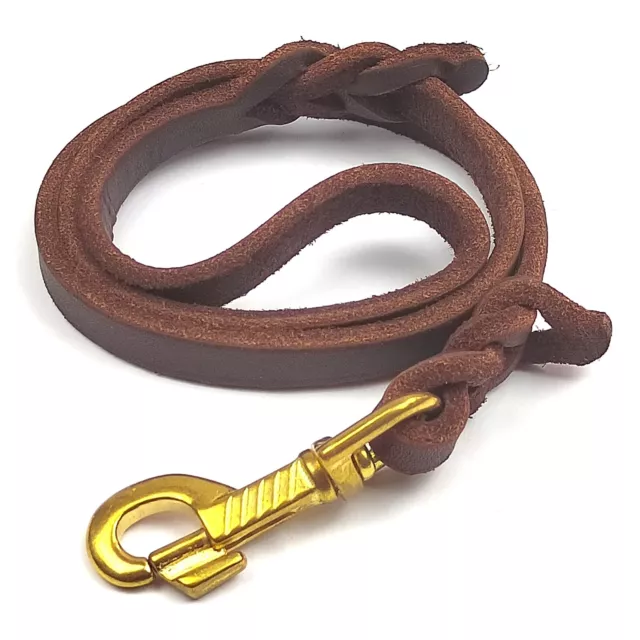 Laisse Chien Laisse pour Chien en Cuir Laisse de Dressage pour Chien Animaux