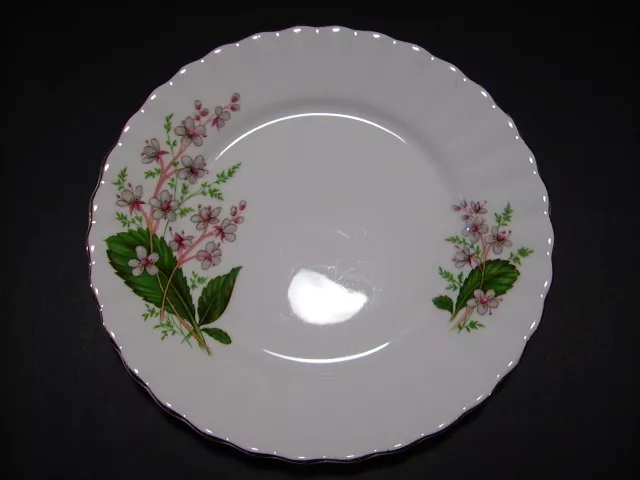 Salisbury Bone China Made in England - orphan side plate