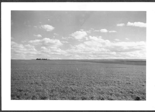 Vintage 1939 Palouse Prairie Washington State Montana Forestry College Old Photo