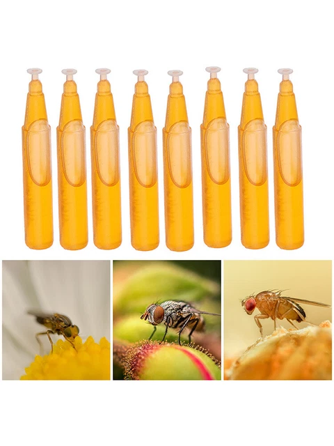 10PCS Fruit Fly Trap Killer Drosophila Trap Fly Catcher Pest Insect control