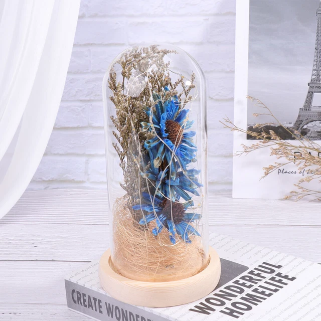 Tournesol éternel Sous Cloche - Fleur Préservée Avec LED, Cadeau Pour Femme, Maman, Saint-Valentin