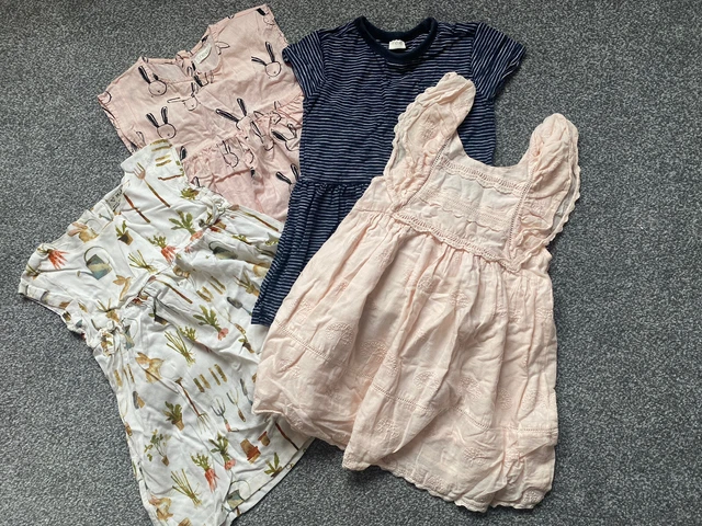 Girls Age 2-3 Years Summer Dress Bundle - Next and Zara brands