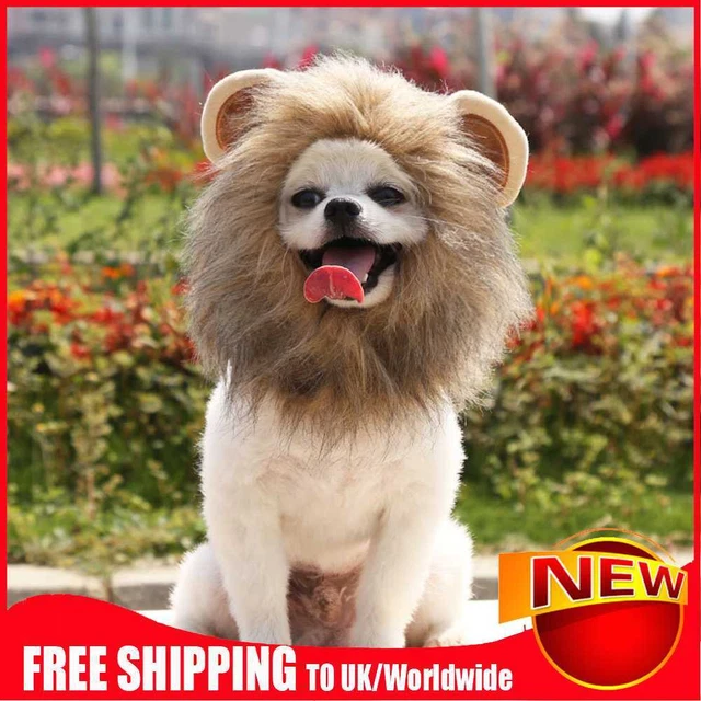 Suministros para mascotas peluca para gato sombrero portátil lavable elegante gorra para cabello accesorios decorativos