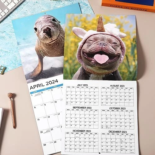 CALENDAR 2024 Wall Calendar 2024 Animal Selfies, from January 2024 to