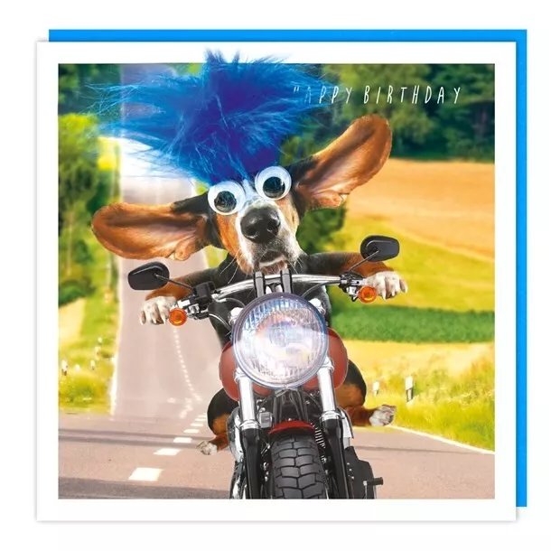 Open Birthday Card, Humour Basset Hound On Motor Bike With Fluff And Googly Eyes